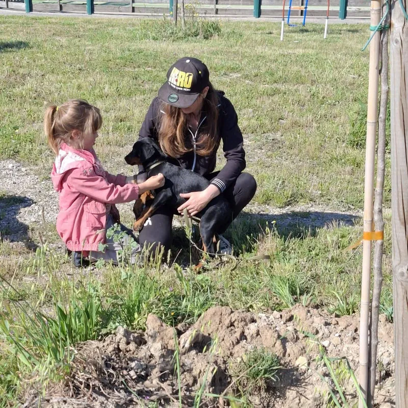 Approche bienveillante en éducation canine